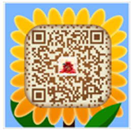 掃描查看手（shǒu）機網站